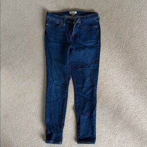 Madewell Indigo Skinny Jeans